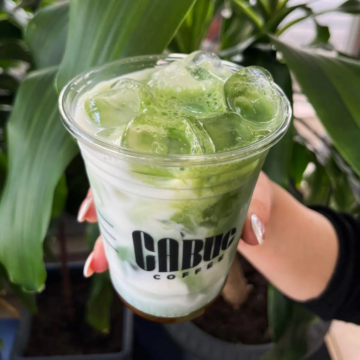 ice Macha Latte